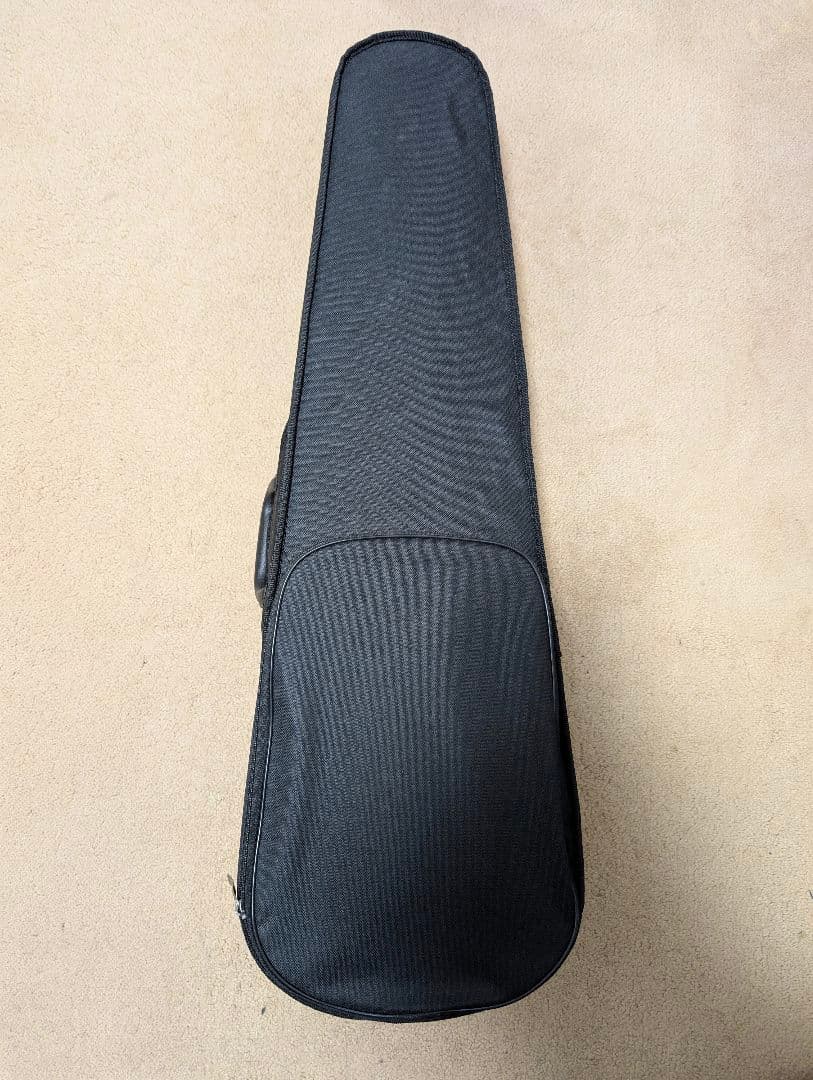 【バイオリン一式】Ennbom エレキバイオリン 4弦 黒 一式