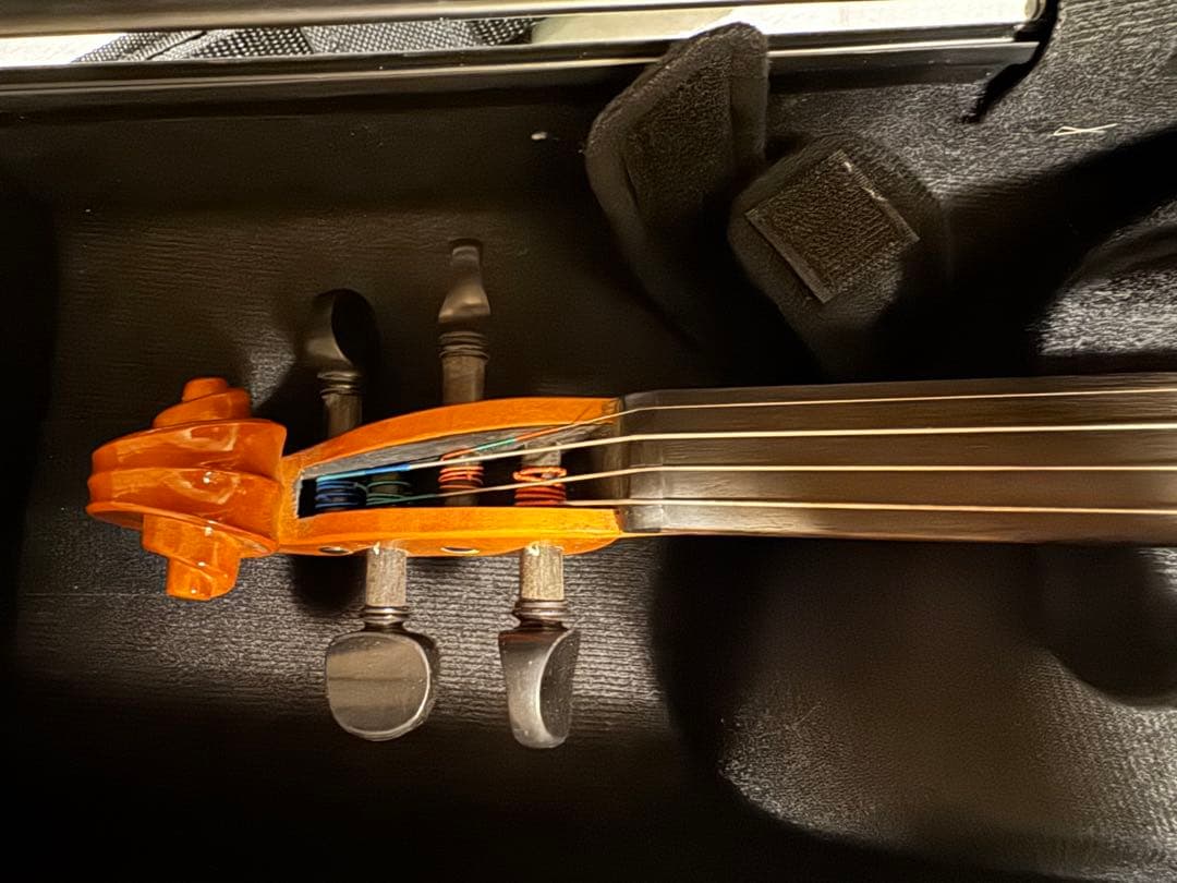 Roderich Paesold バイオリン / 弓・肩当て・ハードケース付き