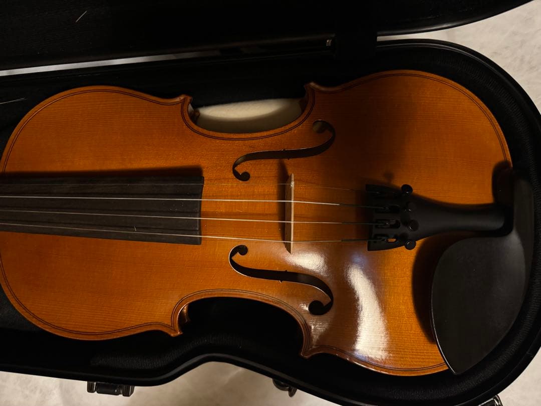 Roderich Paesold バイオリン / 弓・肩当て・ハードケース付き
