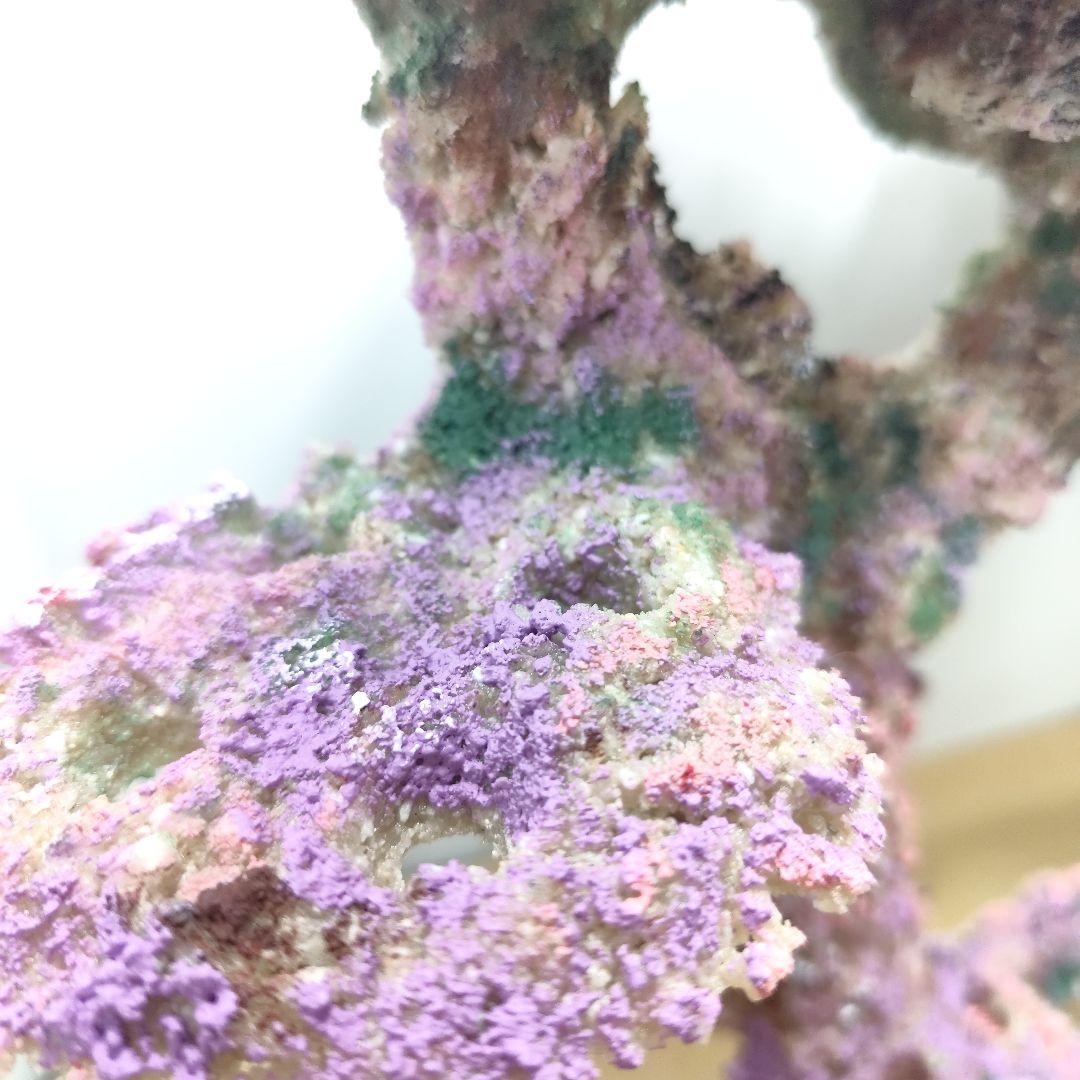 プラグ穴付き アク抜き不要人工ライブロック 海水水槽 レプリカ コーラルフラグ9