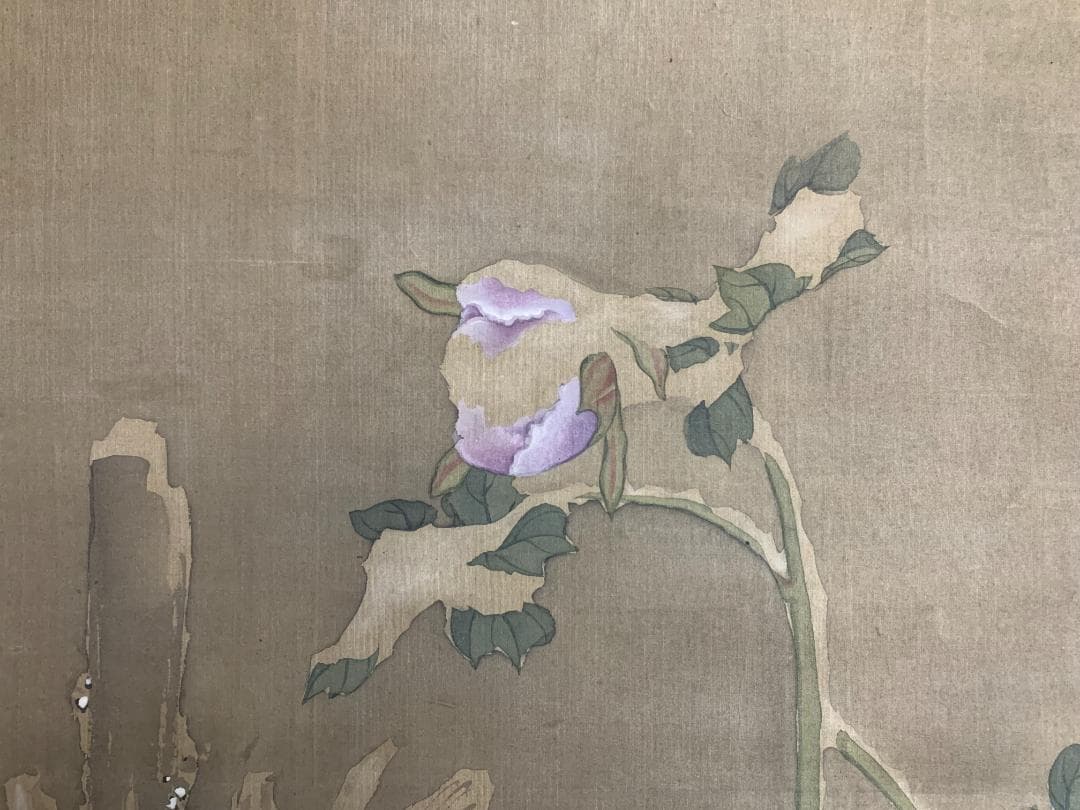 宋紫石 寒牡丹図 絹本 肉筆 掛軸 北洲極箱 長崎派 中国画 江戸中期 7636