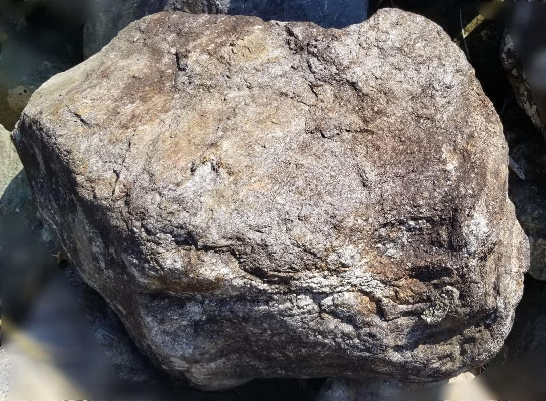 希少原石　大型　結晶片岩　シスト　庭石　ロックガーデン　ガーデニング　鉱物　原石