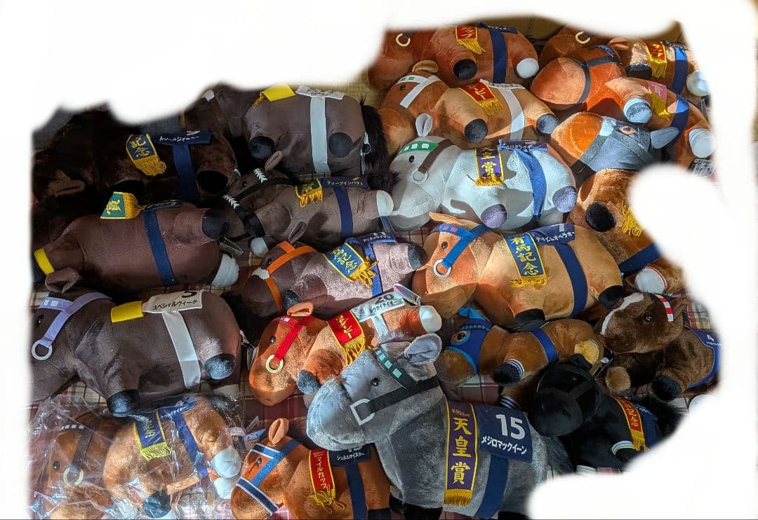 サラブレッドコレクション BIG