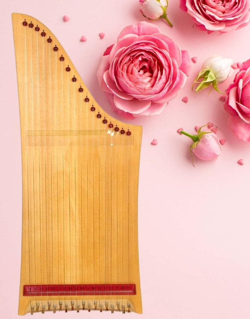 Hermann Veeh ヘルマンハープ 18弦 ドイツ