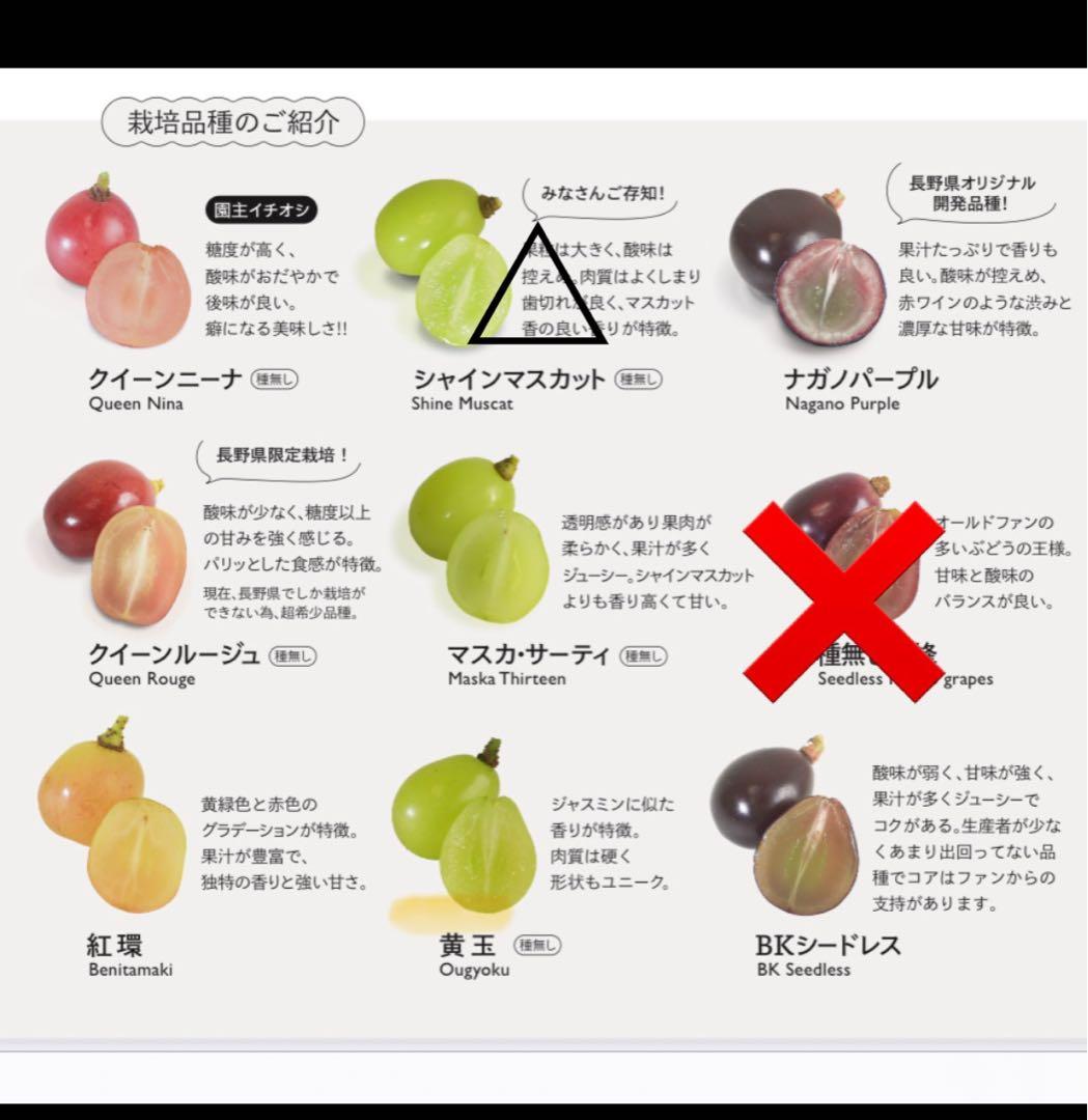 ☆7~8房ぶどうの玉手箱☆ 4kg 新鮮なぶどう（緑・赤・黒）詰め合わせセット