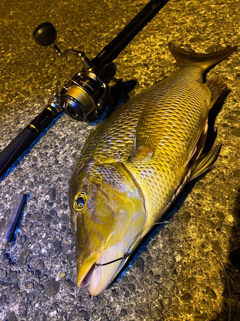 15 ツインパワーsw6000HG