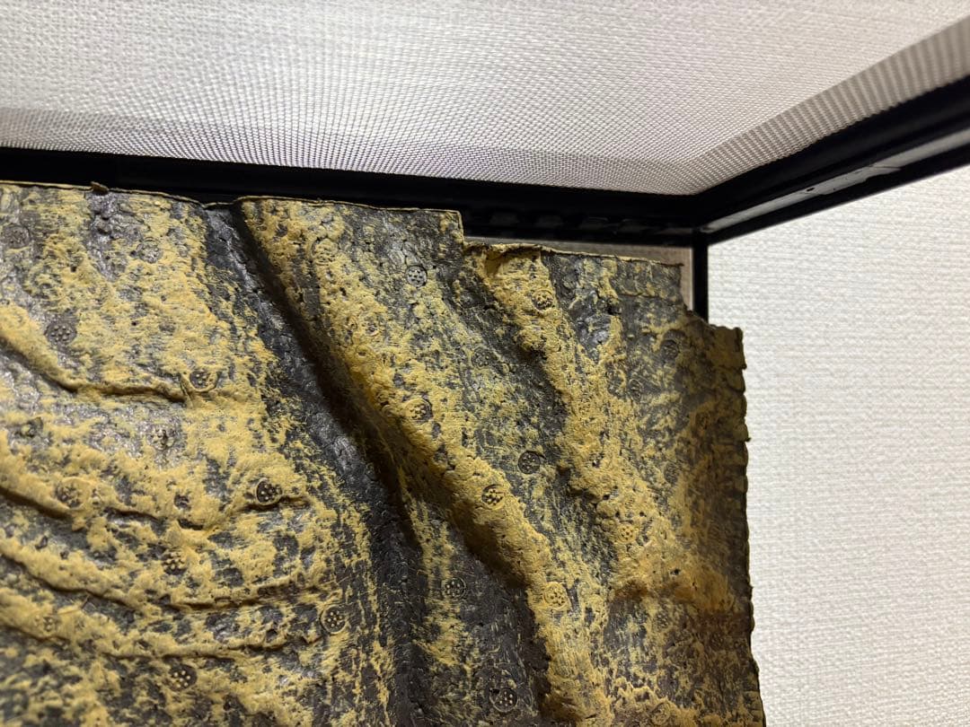 グラステラリウム4530 暖突等おまけ付