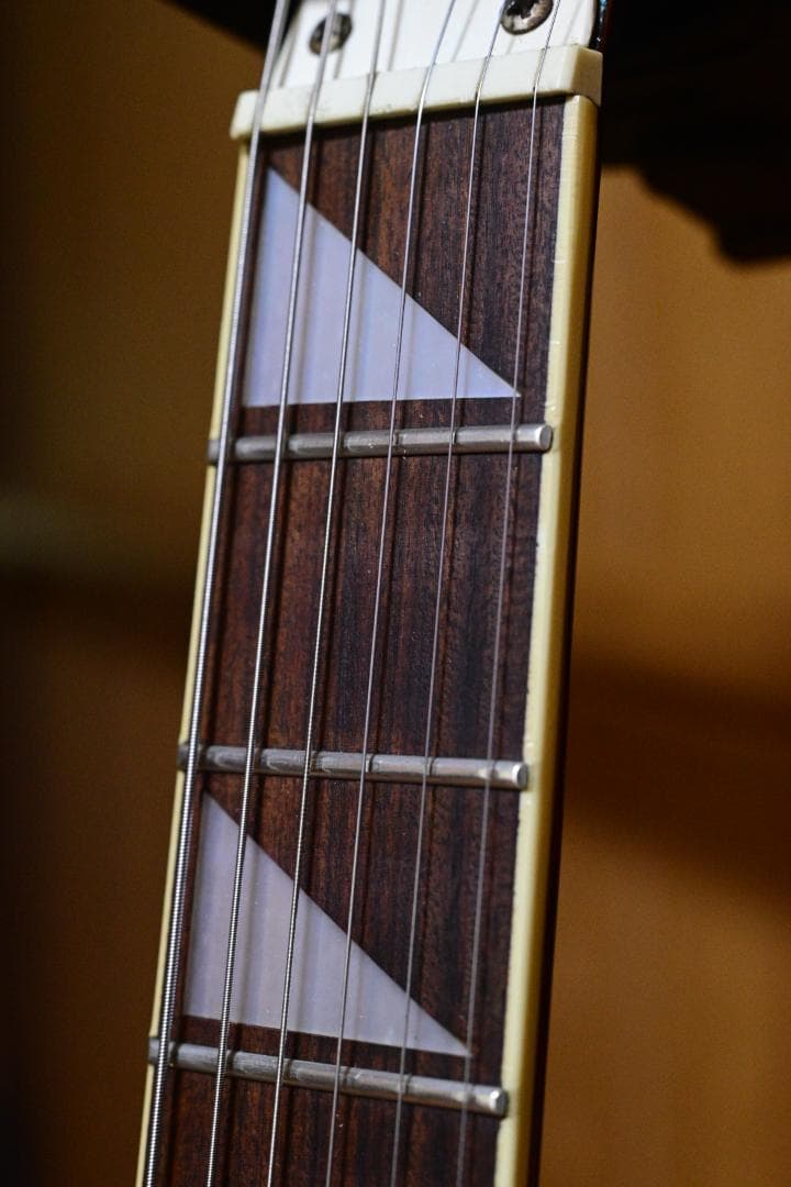 ギター Barclay Guitar Rickenbacker 330