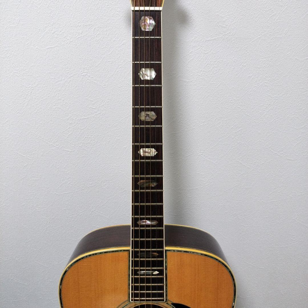 Rider R-500D 林楽器