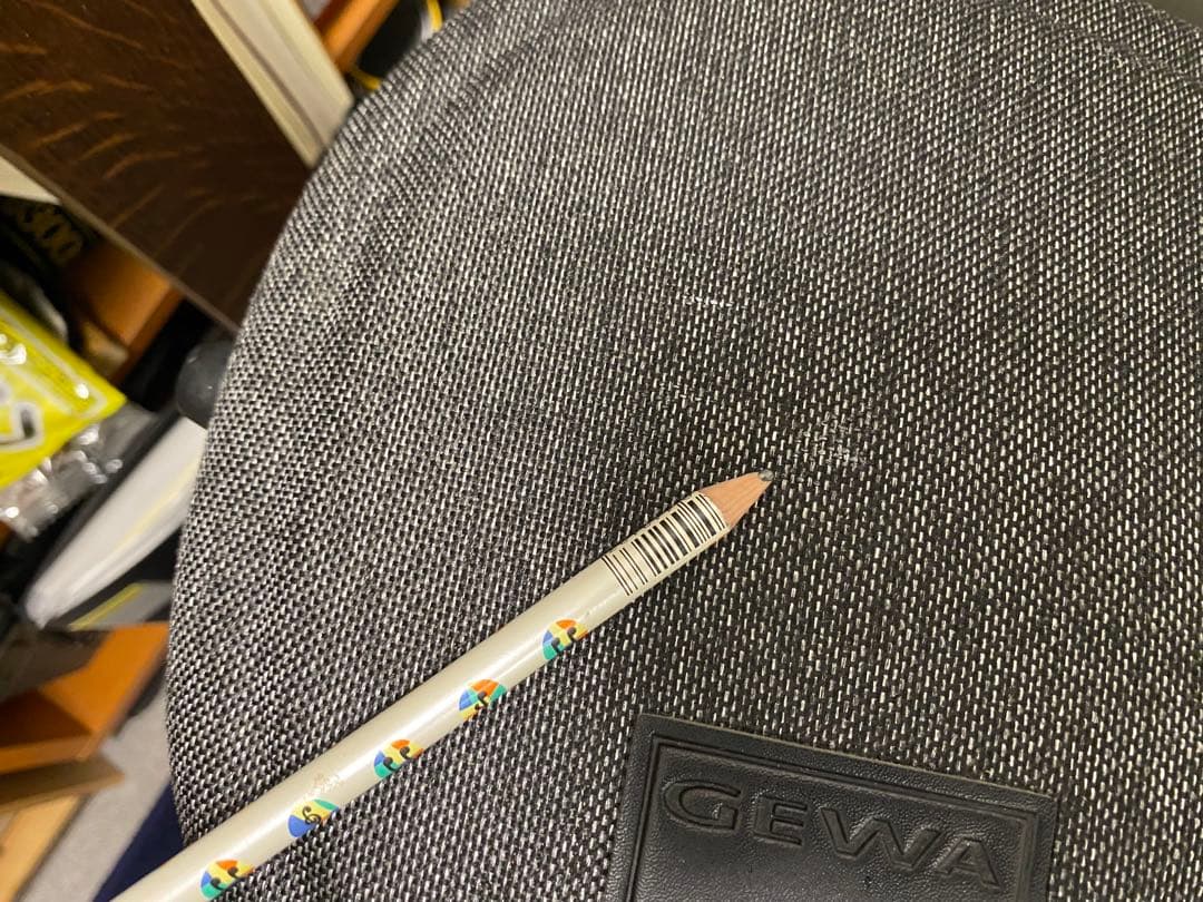 値引き！　GEWA バイオリンケース グレー