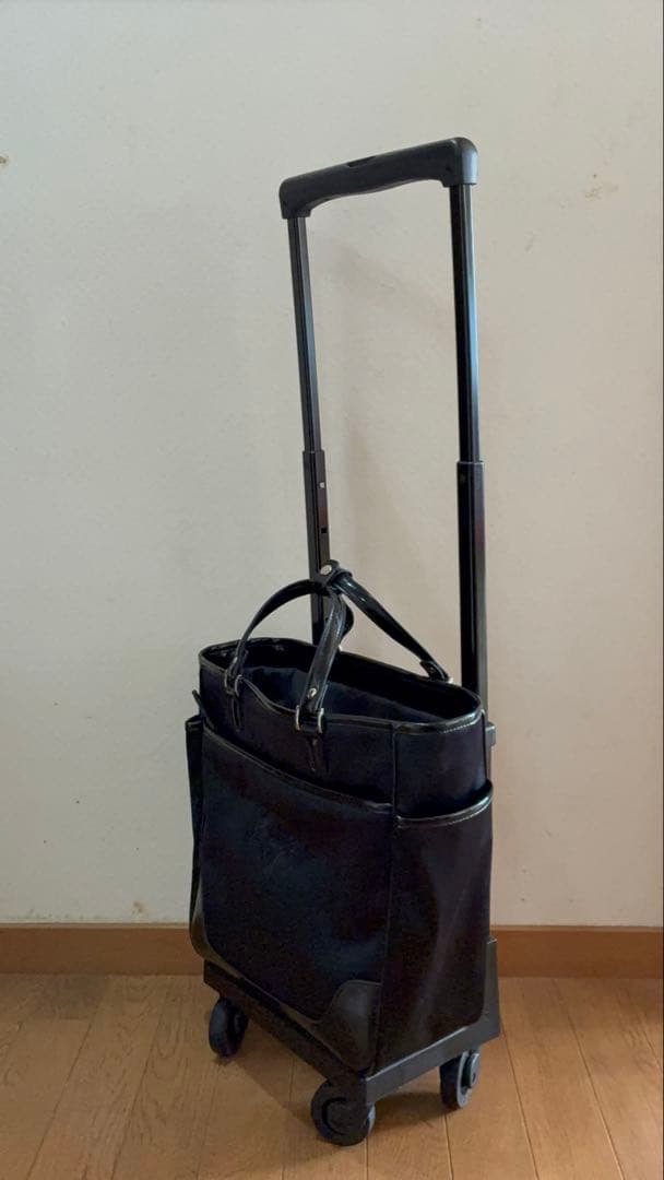 SWANY キャリーバッグ ショッピングカート ウォーキングバッグ 黒