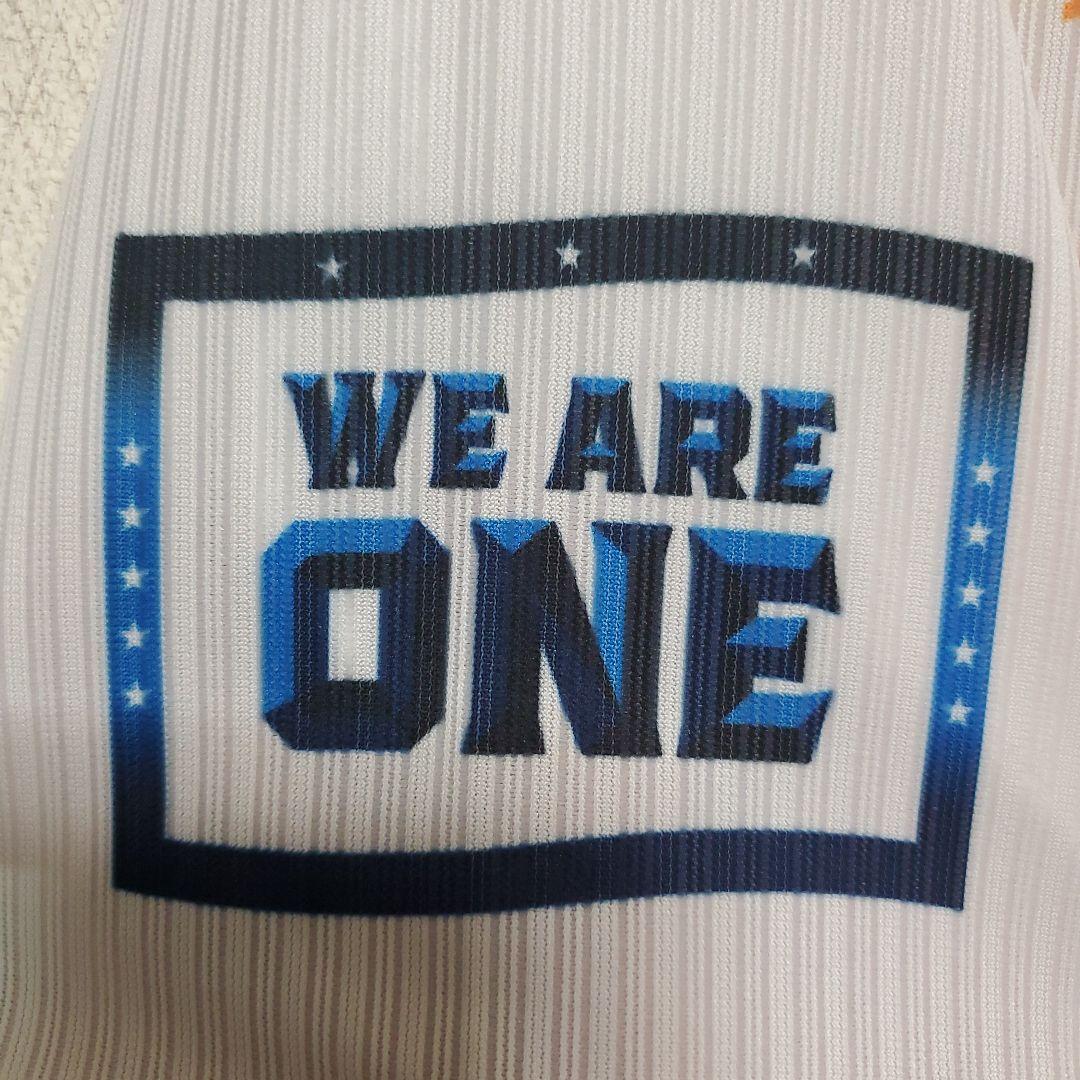 埼玉西武ライオンズ　オレンジリボンユニホーム　岸潤一郎選手　直筆サイン入り