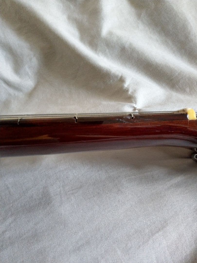 Greco アコースティックギター MODEL100