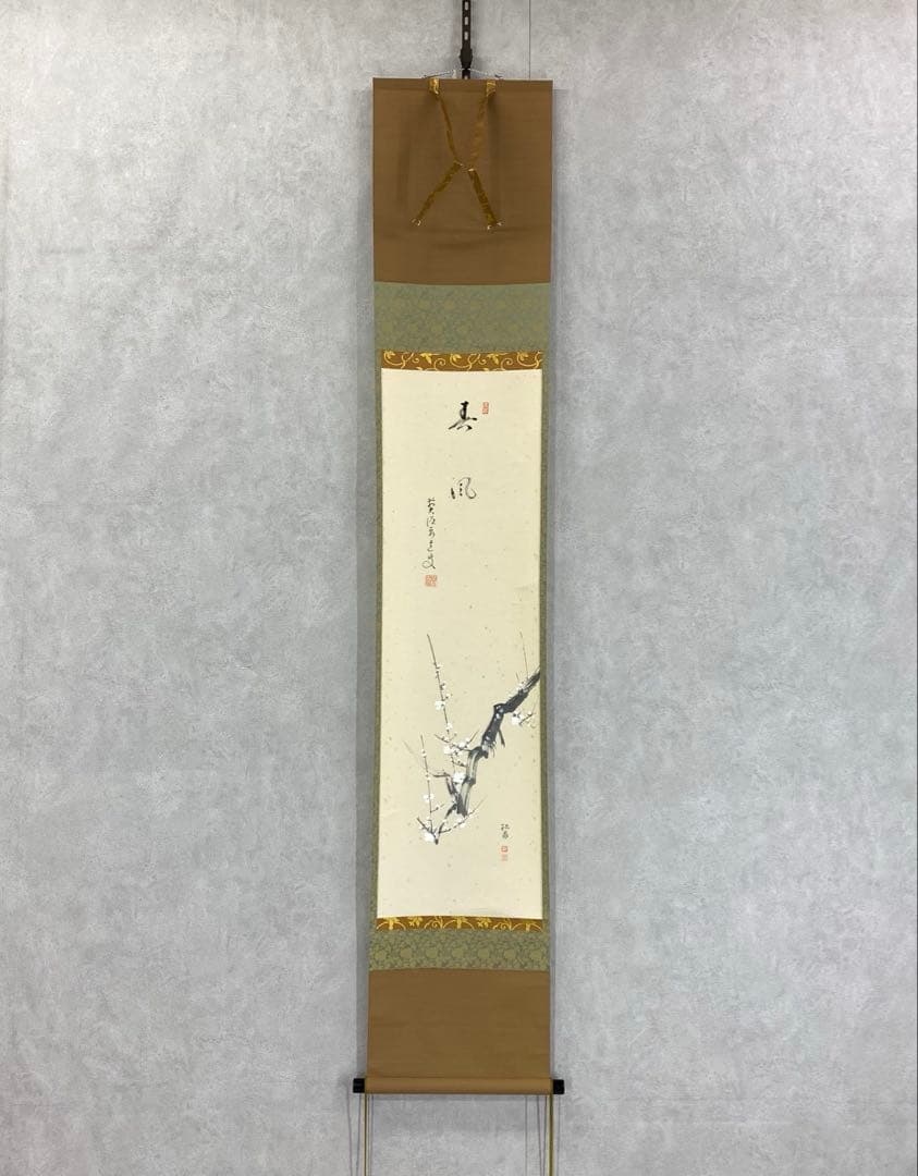 掛軸 雪尾要道 春風 共箱 画賛 白梅 春 茶掛 茶道具 6-31