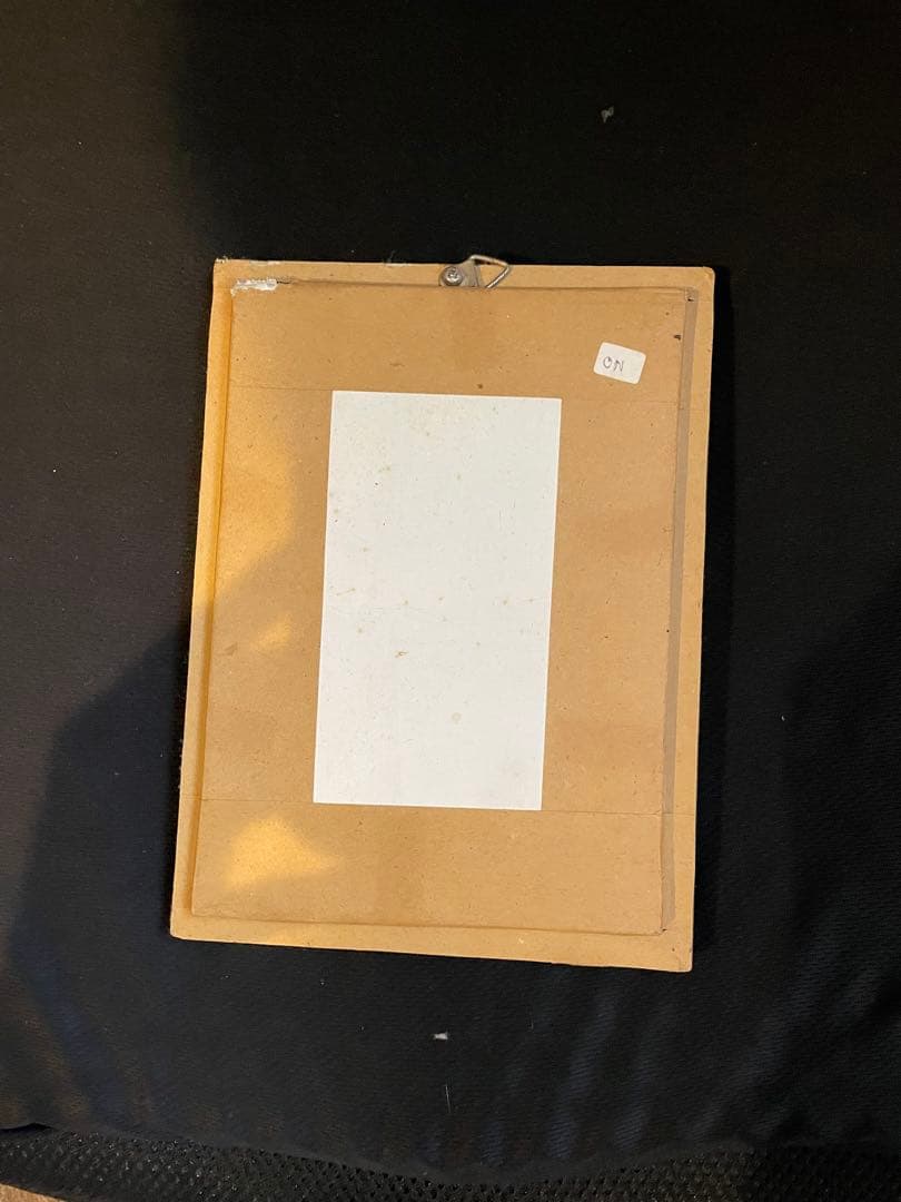 サソリ 標本 木製フレーム