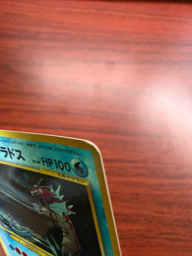 ひかるギャラドス