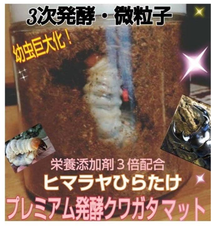 ミヤマクワガタ、ノコギリ幼虫に抜群！800mlボトル入プレミアム発酵マット30本
