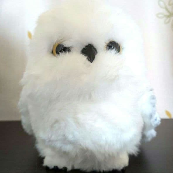 USJハリーポッターヘドウィグ肩乗せ