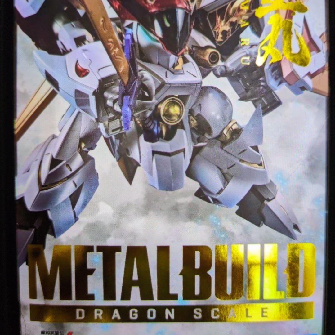 メタルビルド。ドラゴンスケール.龍王丸。