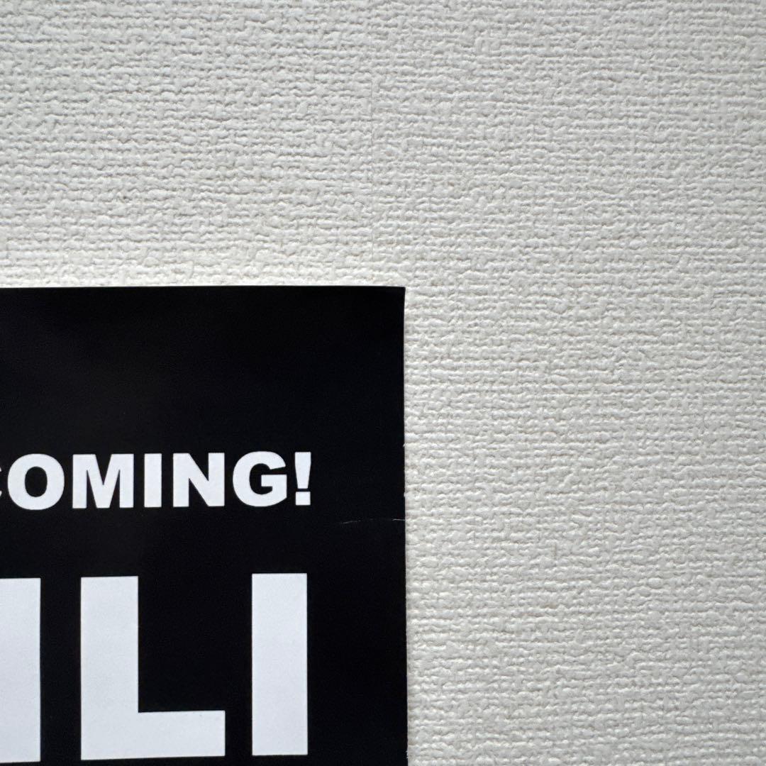 レッドホットチリペッパーズ ポスター