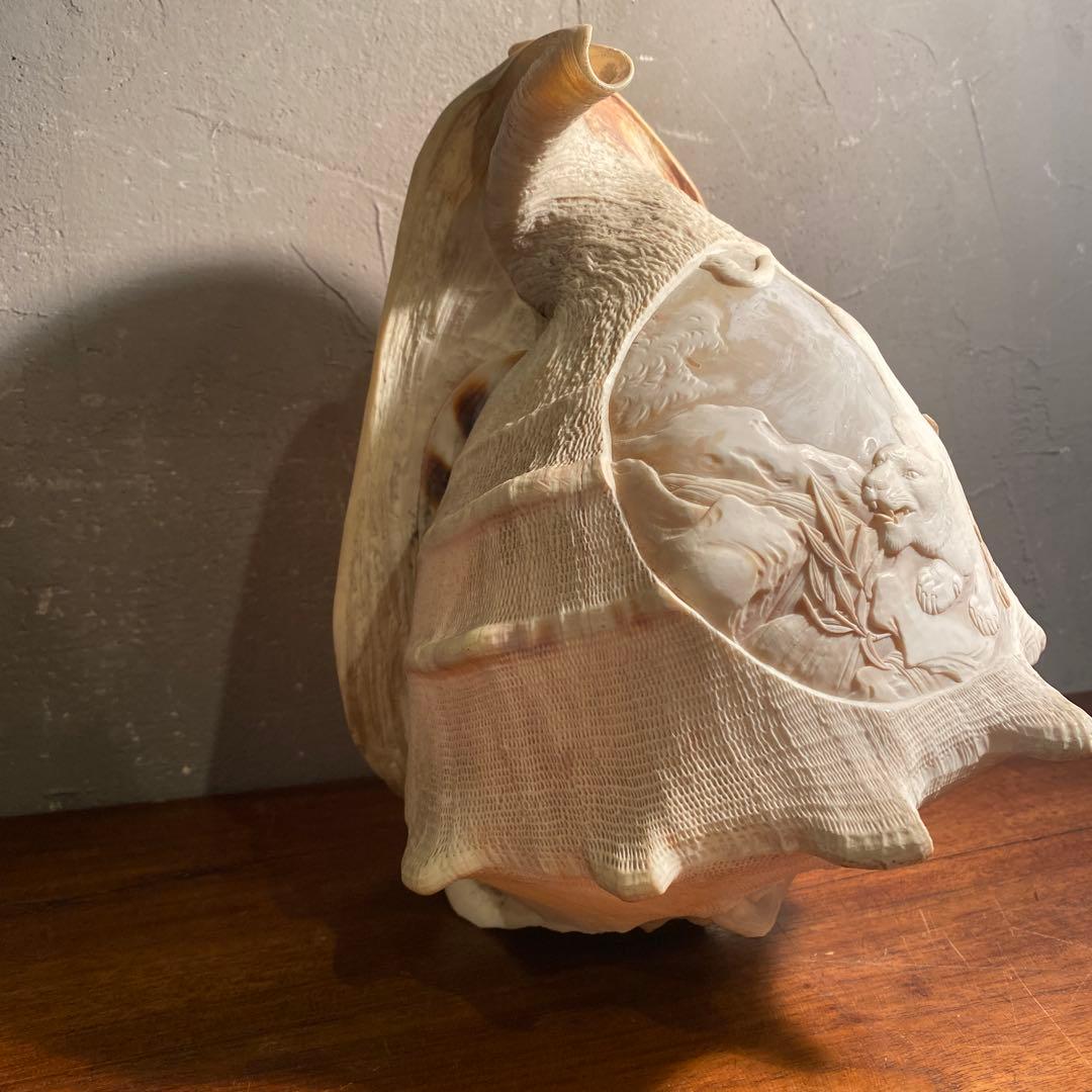 トウカムリガイ 彫刻 アート オブジェ 白虎 置物 骨董品 コレクション25cm