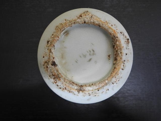 コンプラ瓶　MA321