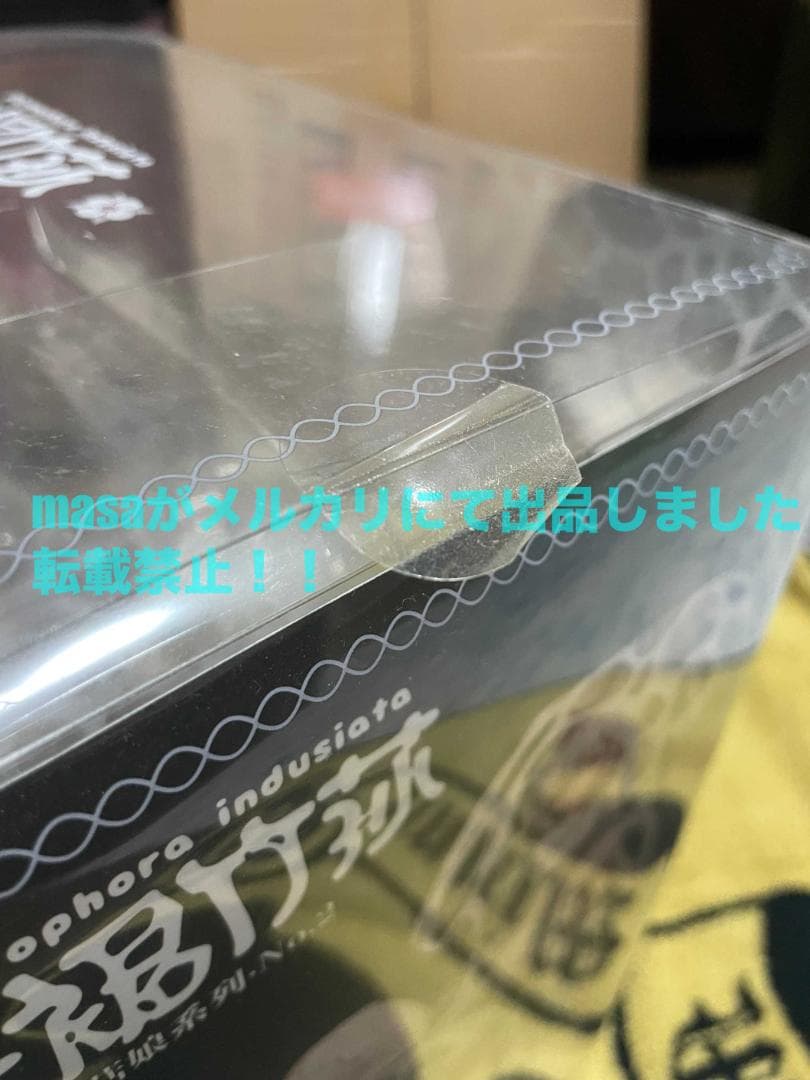 マッシュルームガールズ No.2 キヌガサタケ フィギュア