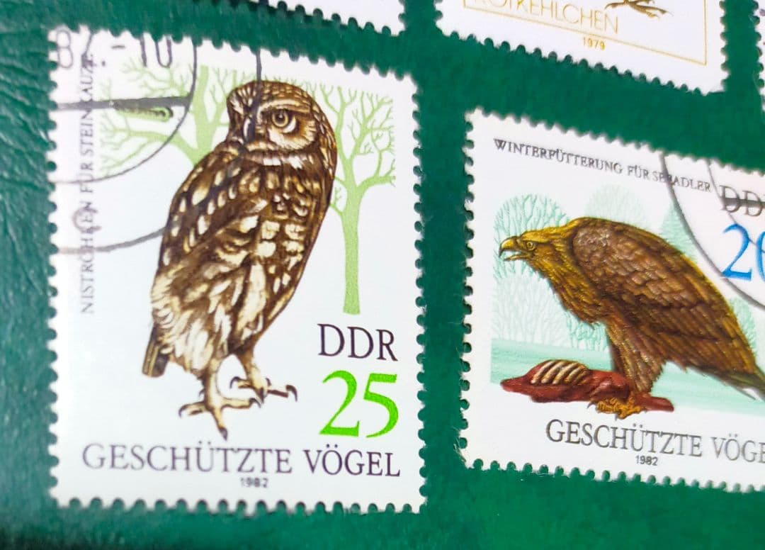 確認用！東ドイツ梟など鳥切手14種DDR貴重