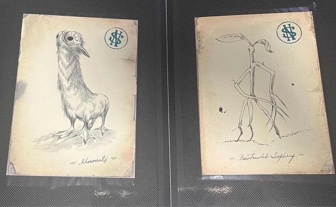 ファンタスティックビースト　ミステリーポストカード