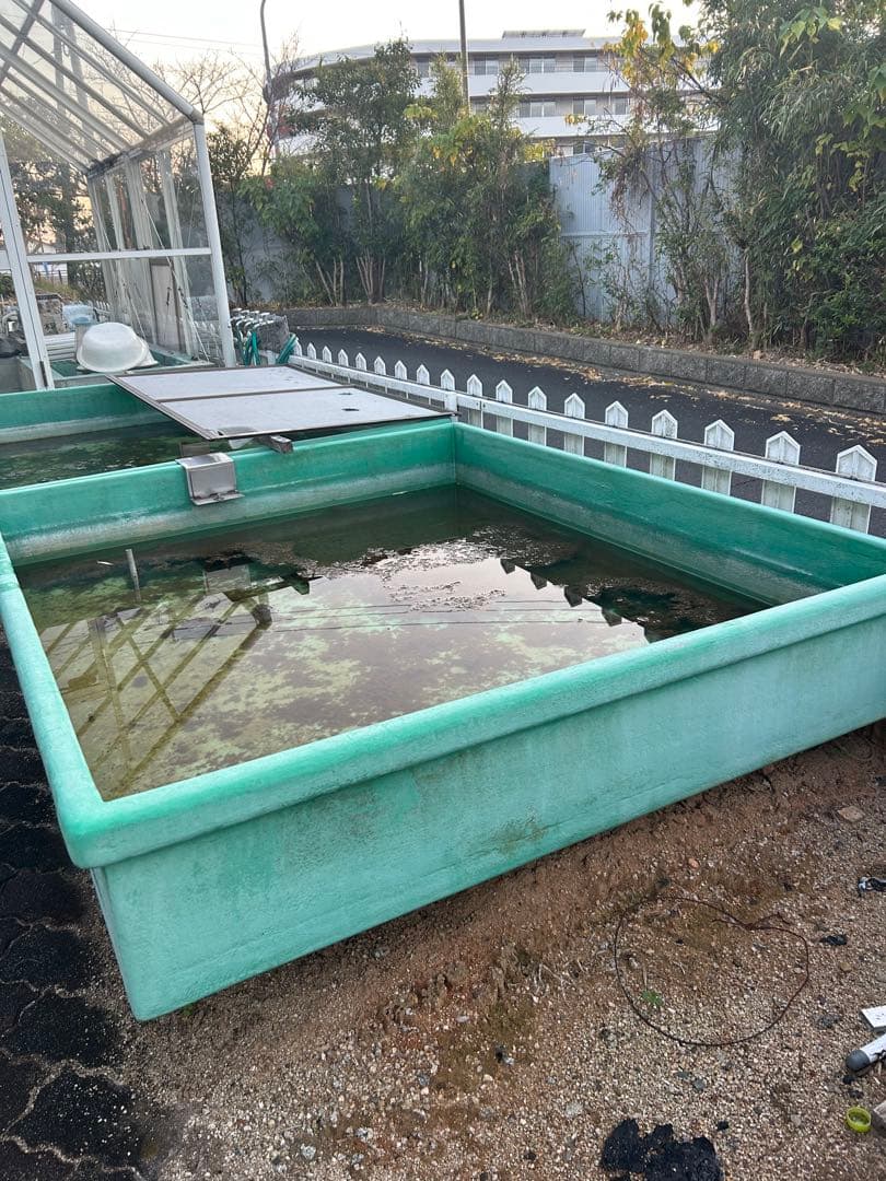 大型プラスチック水槽 緑色