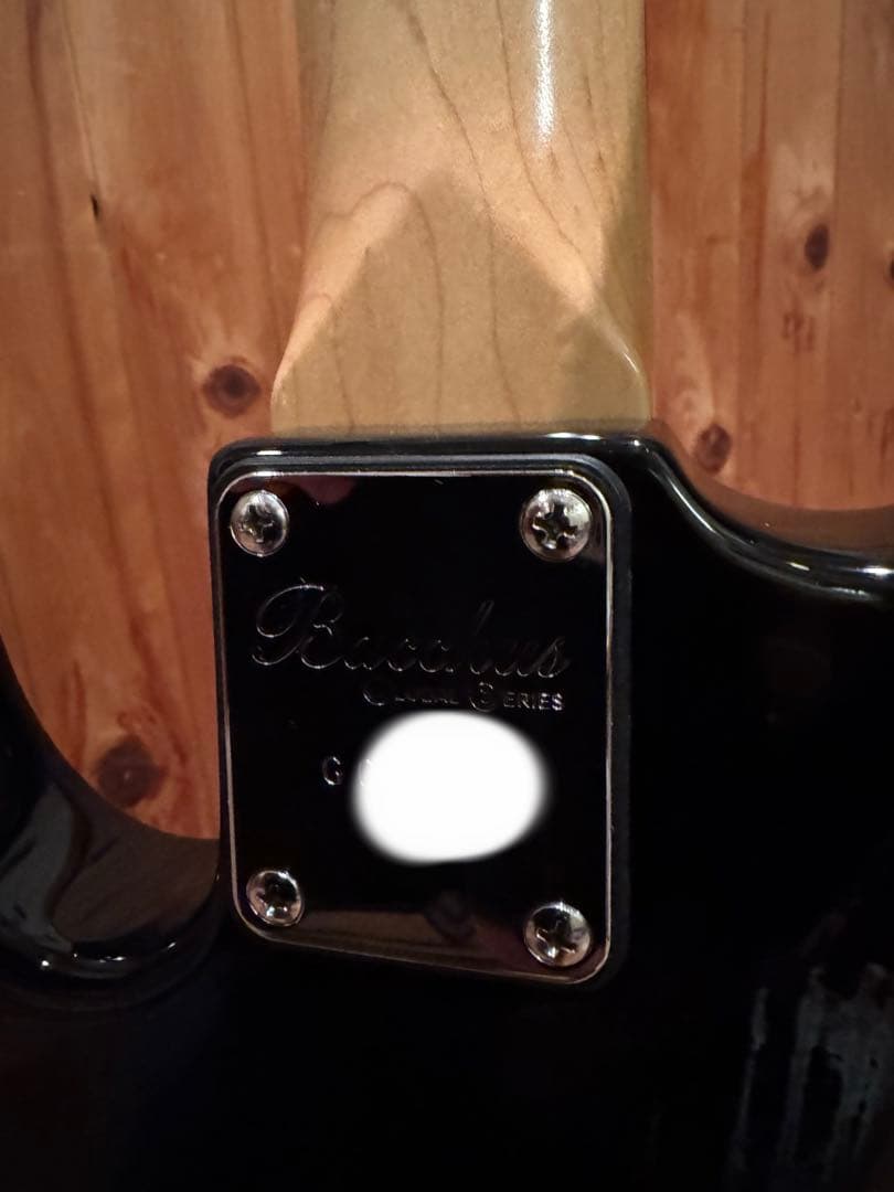 BACCHUS GLOBAL WOODLINE 001 ターボスイッチ搭載