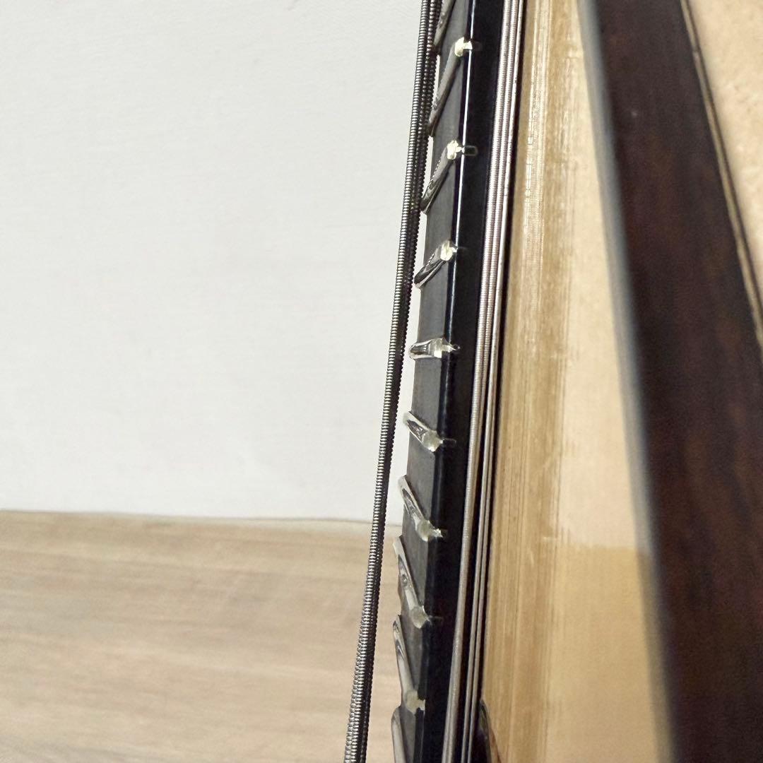 ★美品★ 落合大悟郎 高級 マンドラ DS-1 2009年 セミハードケース付