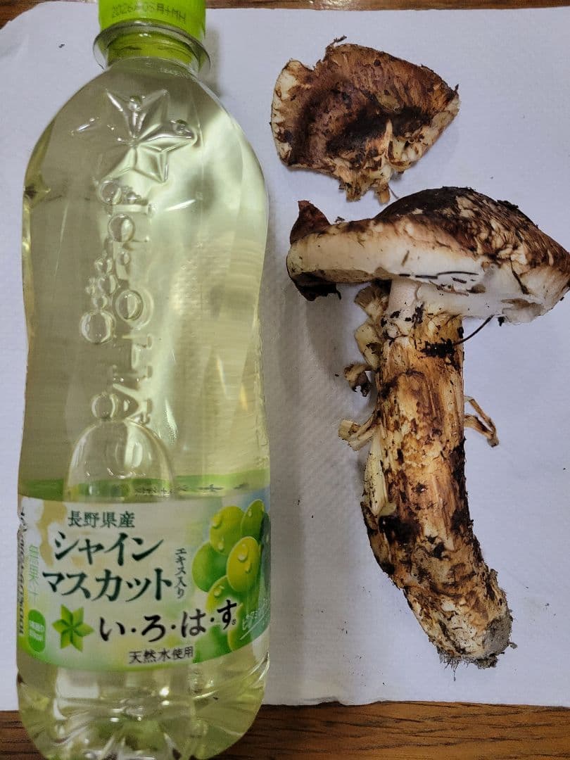 特大　国産　岩手県産　松茸　330g