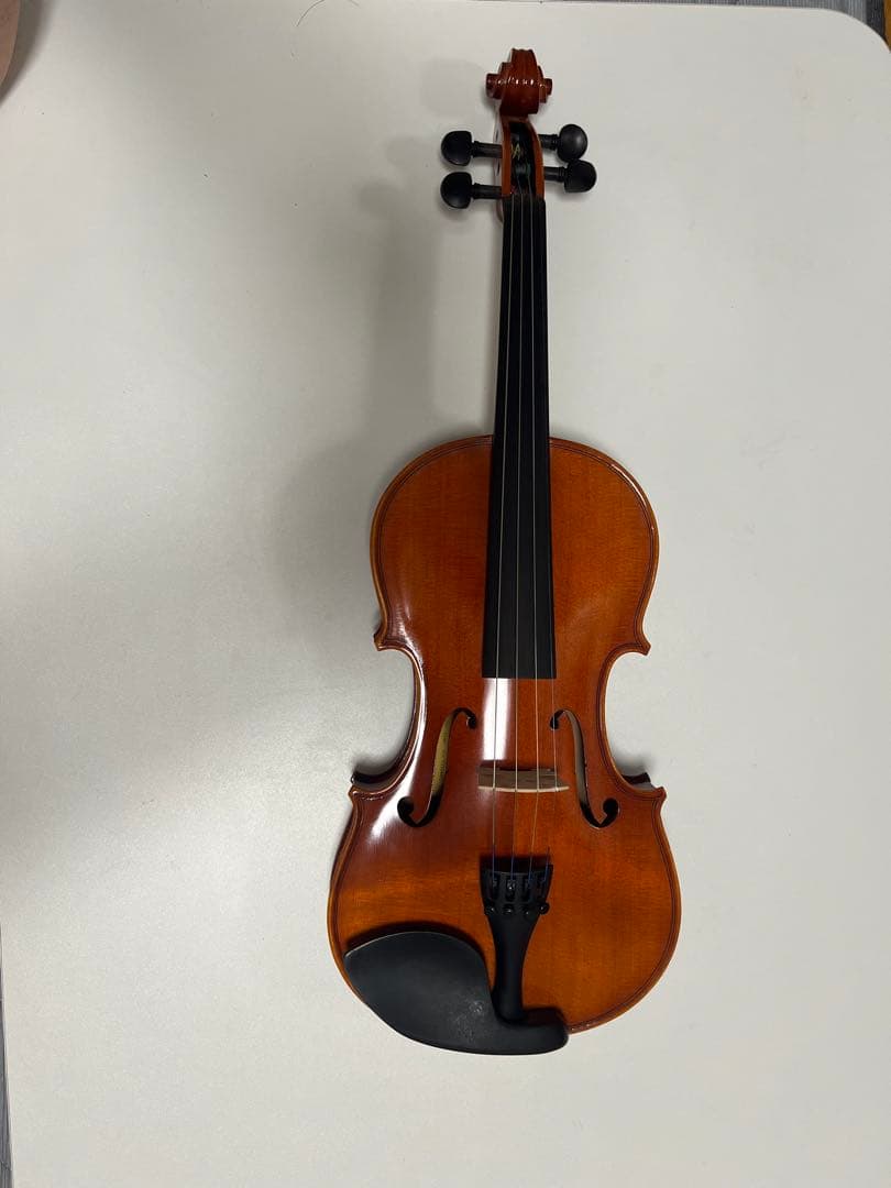 Eastman SVL80セット 4/4 バイオリン 初心者セット イーストマン