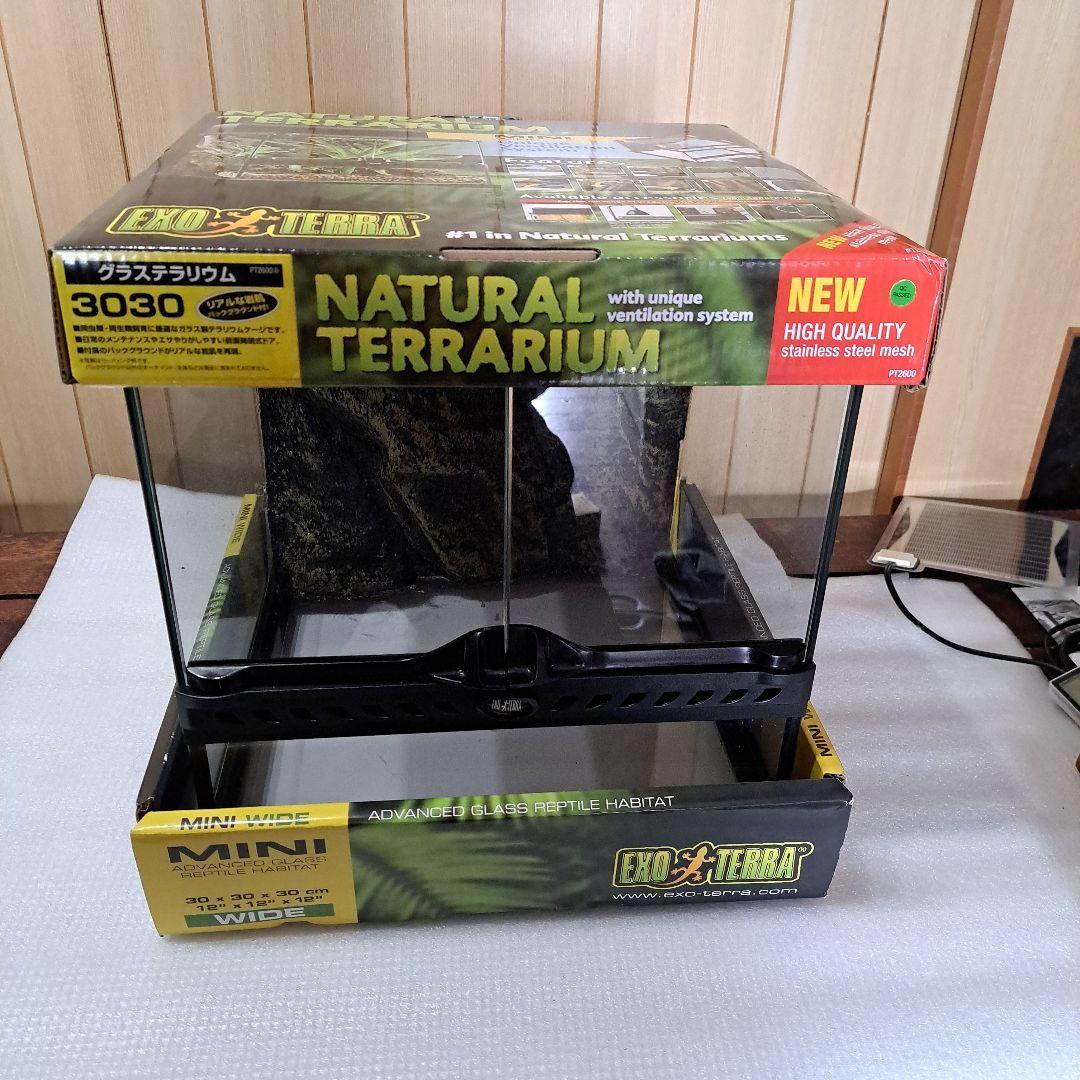 EXOTERRA グラステラリウム 3030 レオパ飼育セット
