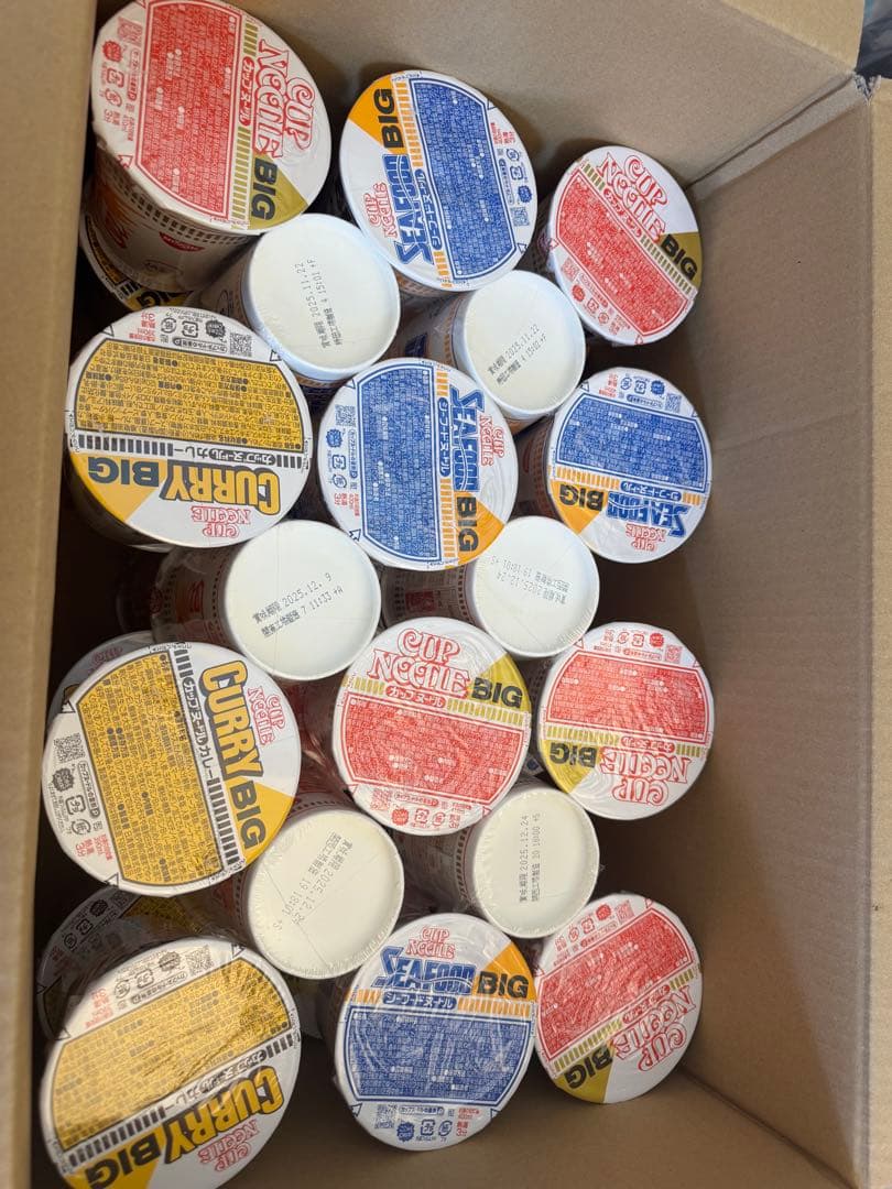カップヌードルBIG 48個セット(カレー16.シーフード16.ノーマル16)