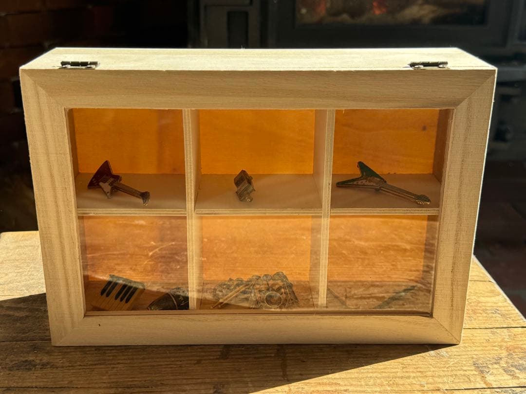 音楽ピン10点セット FUTURE PRIMITIVE USA ケース付