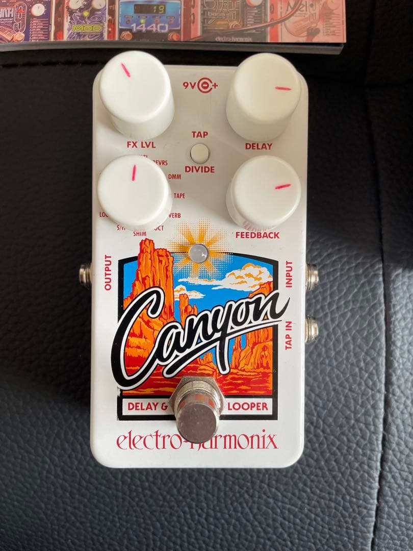 electro-harmonix Canyon ギターエフェクター