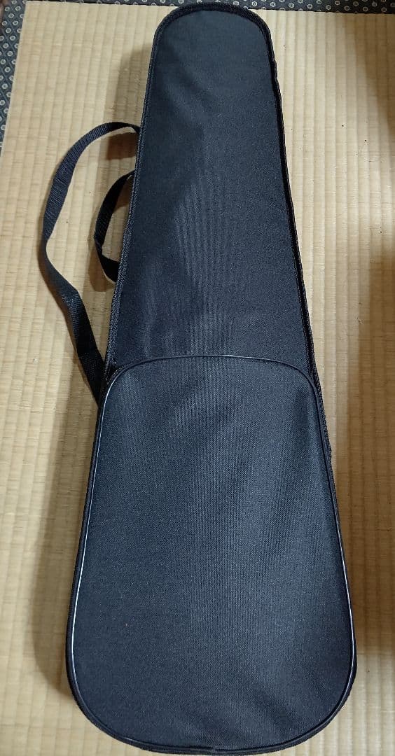 大幅値下げ☆初心者向け☆バイオリン(４／４)