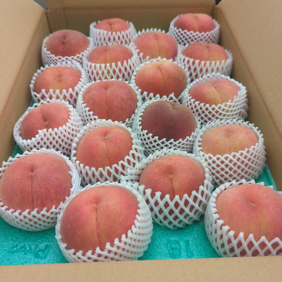 山形桃川中島白桃5k箱 袋がけあり少し色白さん(⁠◕⁠ᴗ⁠◕⁠✿⁠)×2箱