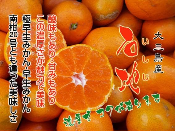 【ケロ】Mマドンナ6Kg+小玉石地6Kg　　【２箱縛りでの発送】