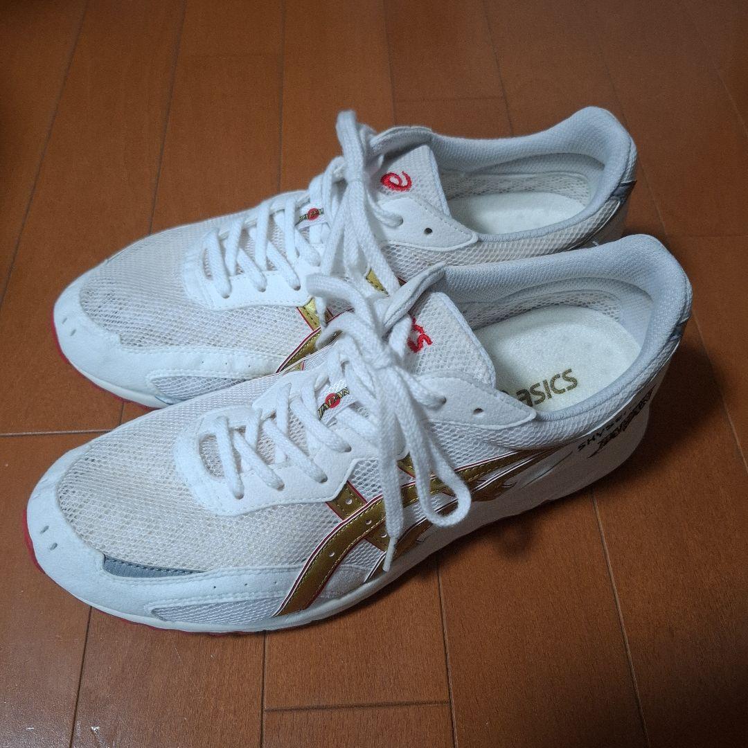 未使用　激レア　アシックス　スカイセンサージャパンJAPAN27㎝