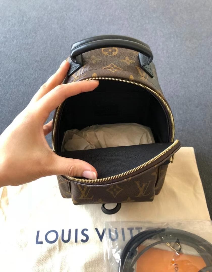 LOUIS VUITTON パームスプリングス バックパック M44873