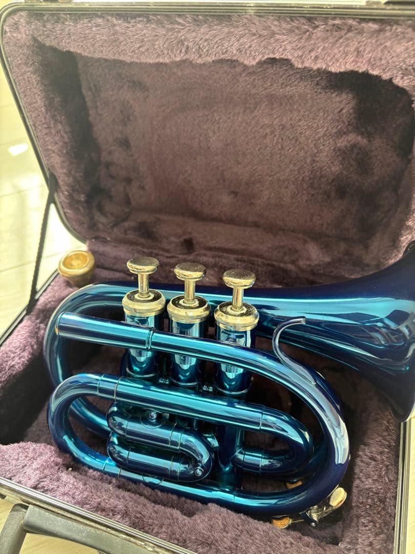 Kaerntner ケルントナー ポケットトランペット ケース　マウスピース付き