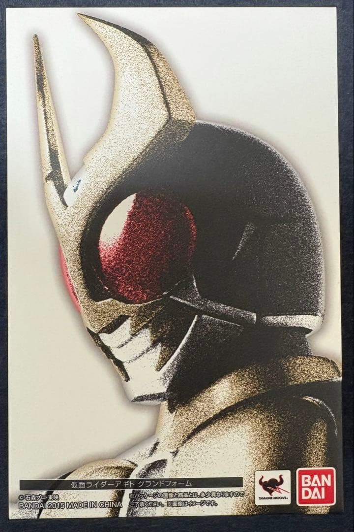 S.H.Figuarts 真骨彫 仮面ライダーアギト