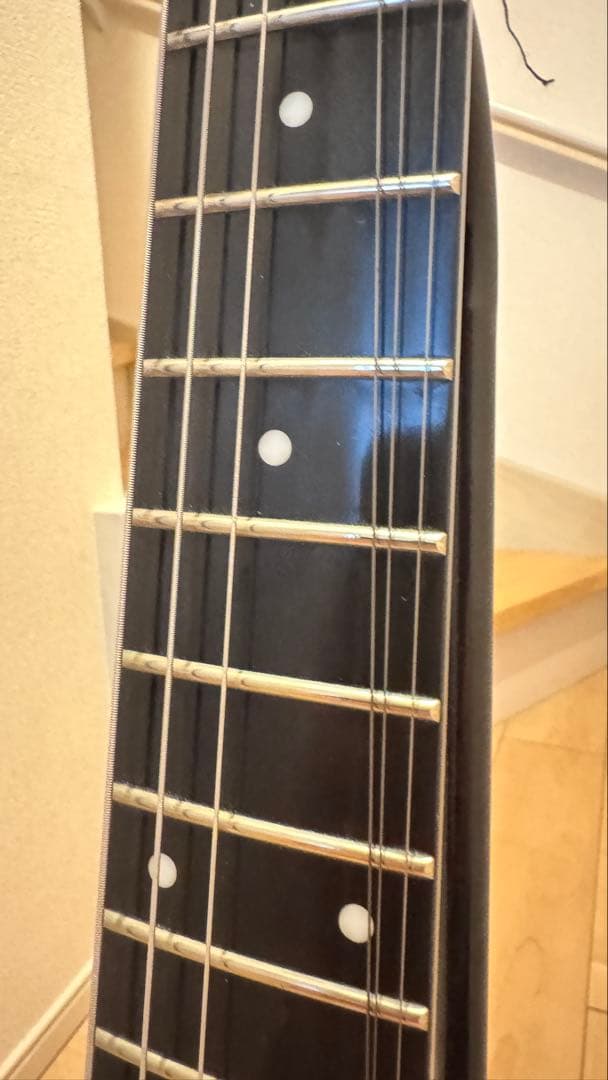 【希少モデル】STEINBERGER ZT-3