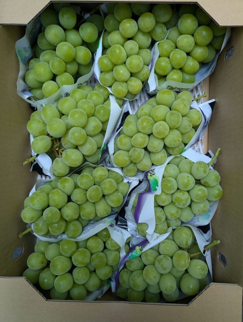 山梨県産ぶどう　シャインマスカット　9房入り箱込み約5.9kg