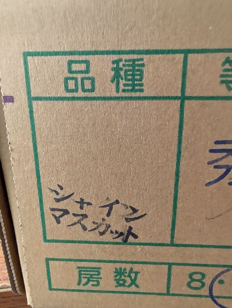 山梨県産ぶどう　シャインマスカット　9房入り箱込み約5.9kg