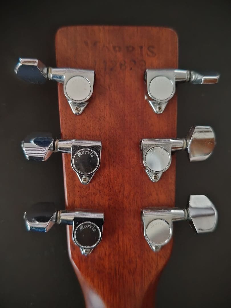 Morris W40 ビンテージ サンバースト コレクター