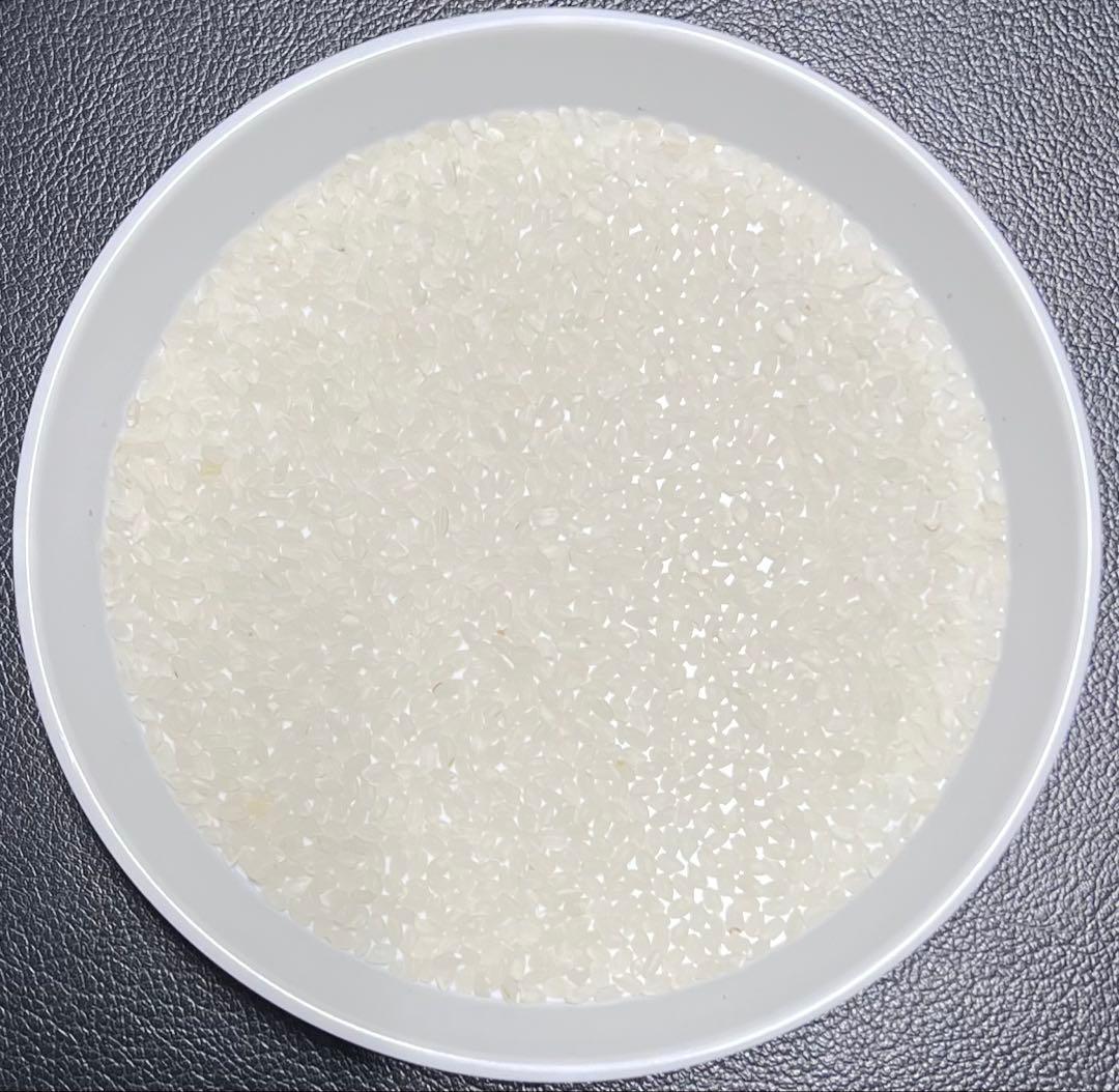 送料無料 令和7年産 京都丹後米 コシヒカリ 白米 約27kg